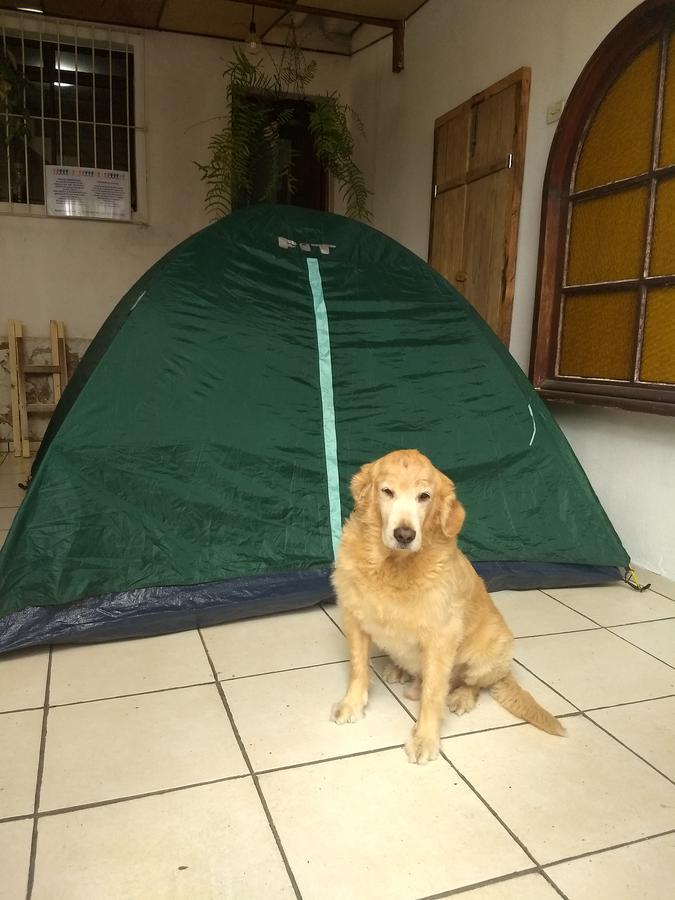 Hostel Residencial São Paulo Zewnętrze zdjęcie